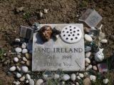 image of grave number 267637